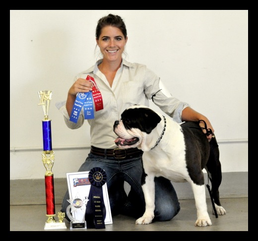 champion bronze seal bulldogge bubba