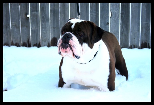 IMG_2048 - Version 2